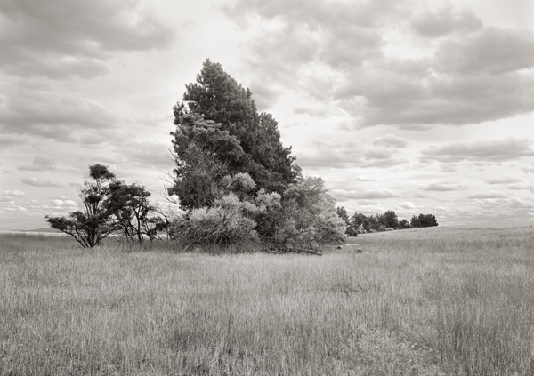 DOUGLAS COUNTY, WA 3 © 2007 Tyler Boley